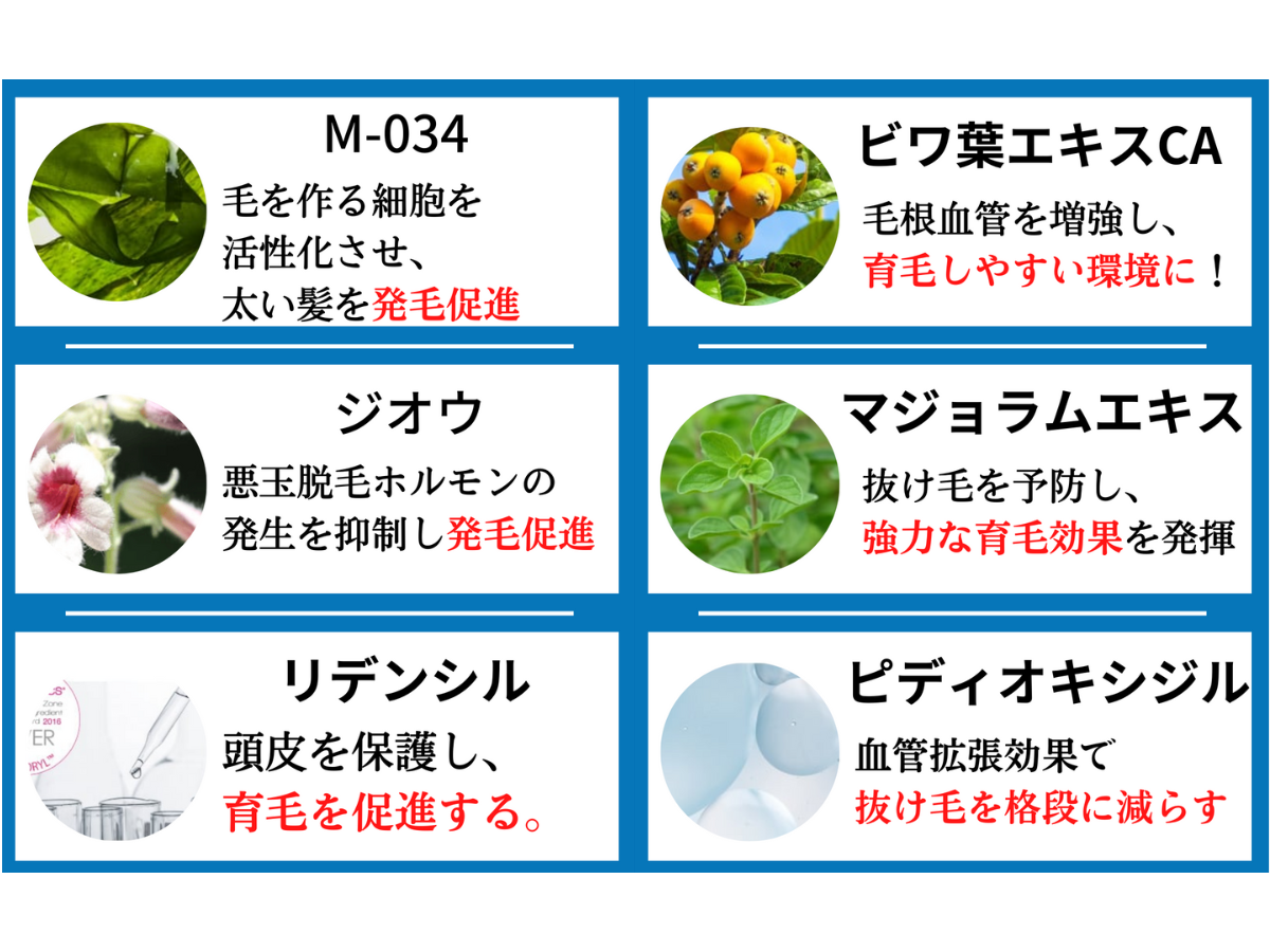 育毛剤を処方してくれるんです